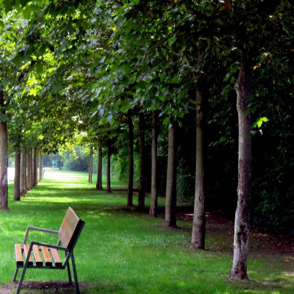 Park Decorative Image