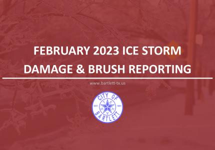 Damage Reporting