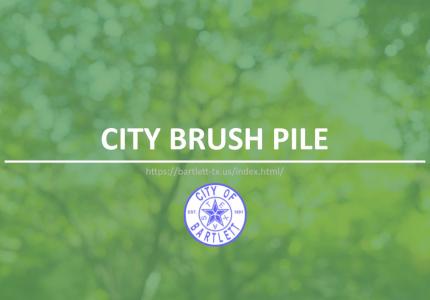 City Brush Pile