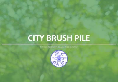 City Brush Pile